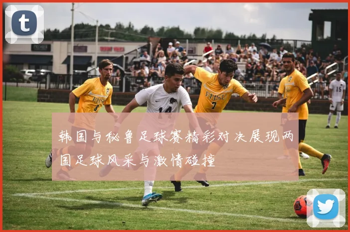 韩国与秘鲁足球赛精彩对决展现两国足球风采与激情碰撞