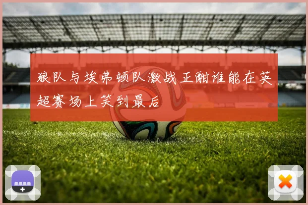 狼队与埃弗顿队激战正酣谁能在英超赛场上笑到最后